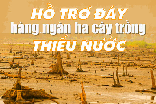 Hồ trơ đáy, hàng ngàn ha cây trồng thiếu nước