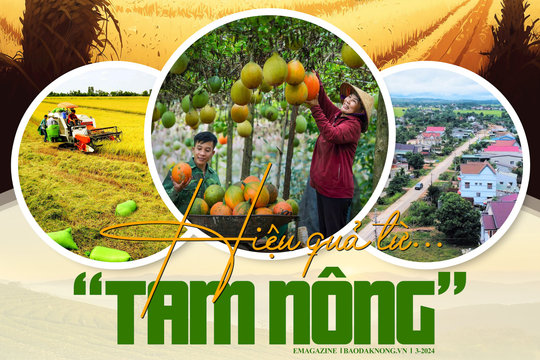 Hiệu quả từ… “Tam nông”