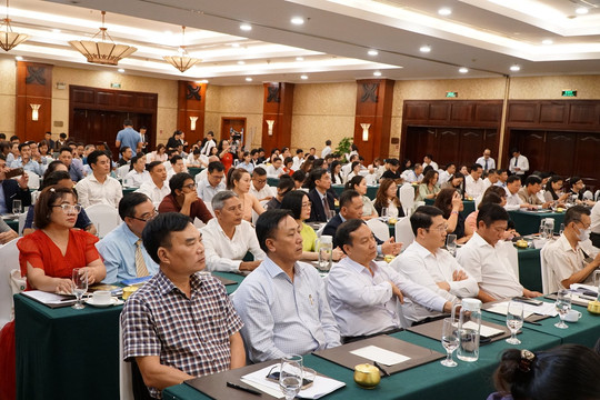 Xúc tiến đầu tư vùng Tây Nguyên tại TP. Hồ Chí Minh