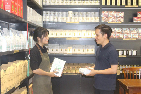 Nghĩa tình ở Công ty Cà phê Bazan Đắk Nông