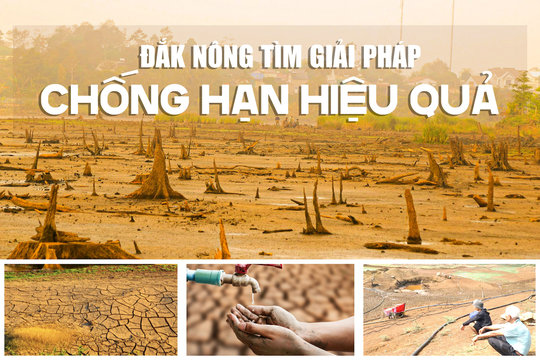 Đắk Nông tìm giải pháp chống hạn hiệu quả