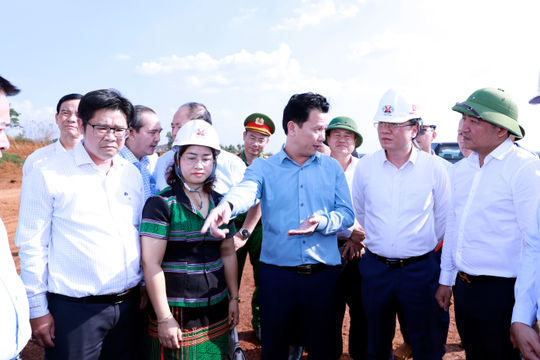 “Khóc” trên “mỏ vàng” bô xít (bài 1): Đắk Nông ngồi trên "mỏ vàng" nhưng không được quyết