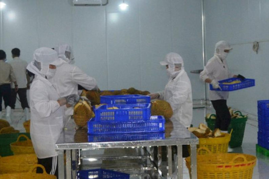 Nhận diện và tháo gỡ điểm nghẽn cho nông sản Đắk Nông