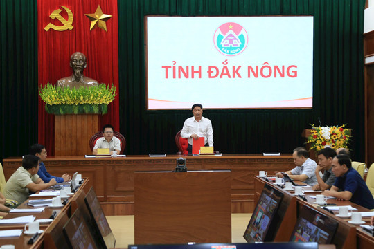 Chính phủ chỉ đạo cấp bách phòng cháy, chữa cháy rừng