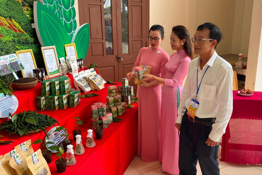 Giải pháp dài lâu cho đầu ra nông sản Đắk Nông