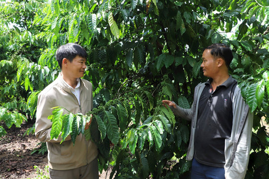 Giải pháp nào để xây dựng Đảng ở vùng đặc thù?