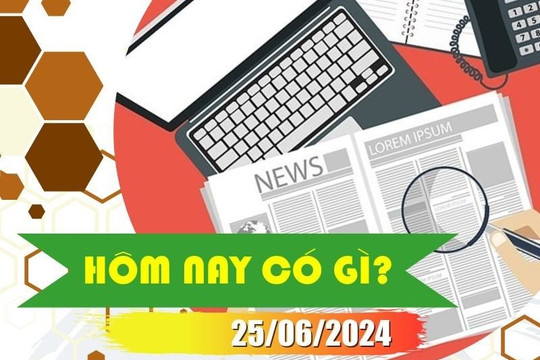 Hôm nay có gì? Ngày 25/6/2024