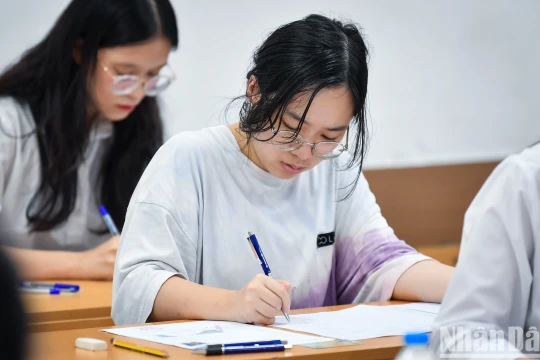 Đề thi môn Sinh học, mã đề 207 Kỳ thi tốt nghiệp THPT năm 2024