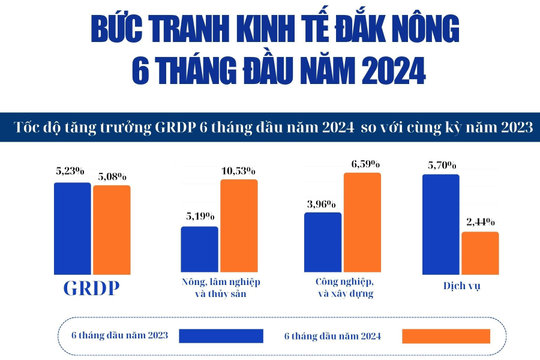 Bức tranh kinh tế Đắk Nông 6 tháng đầu năm 2024, nhiều gam màu tươi sáng
