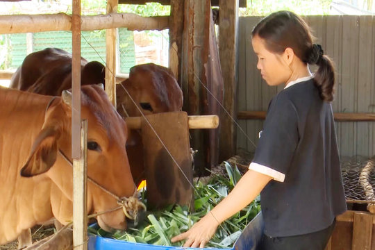 Đắk Nông phấn đấu giải ngân 95% vốn giảm nghèo