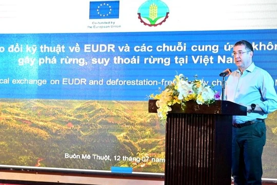 Nâng cao nhận thức về quy định không gây mất rừng của EU