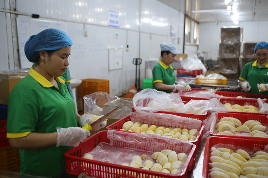 Đắk Nông xúc tiến thị trường cho trái cây OCOP