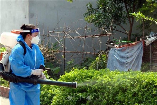 Lâm Đồng: Ca mắc sốt xuất huyết tăng cao, vận động người dân cùng chống dịch