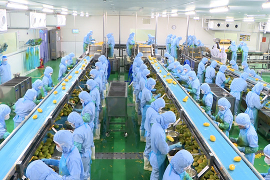 B'Laofood: Liên kết chặt chẽ với vùng đất cao nguyên