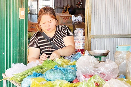 Tiếp sức giảm nghèo ở huyện Đắk Mil