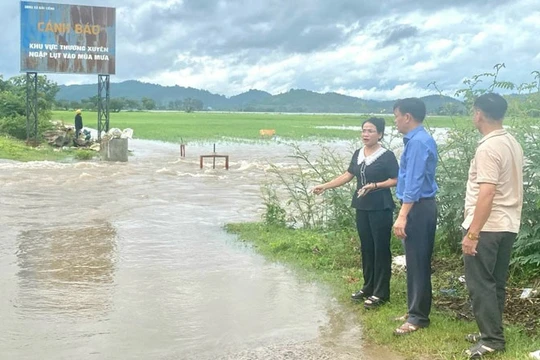 Gần 1.200 ha lúa nước và hoa màu các loại ở huyện Lắk bị ngập lụt