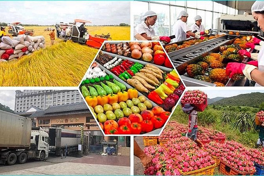 Bảng giá nông sản hôm nay 26/7/2024: Giá cà phê tiếp tục giảm, giá tiêu quay đầu tăng nhẹ.