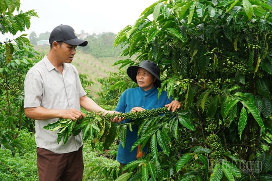 Đắk Nông giảm nghèo bắt đầu từ thay đổi nhận thức