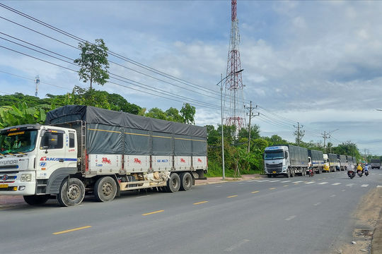 Đồng Tháp: Phát hiện nhiều xe ôtô tải chở hàng vượt quá 100% tải trọng cho phép