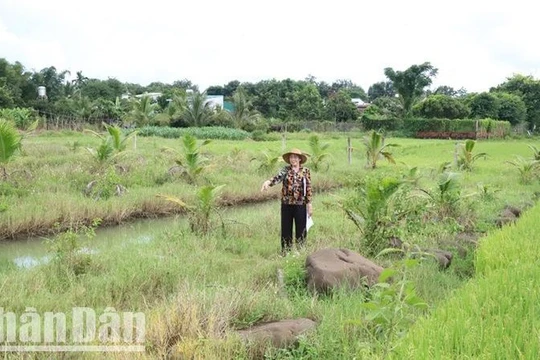 Cần giải quyết dứt điểm vụ việc khiếu nại về lấn chiếm đất đai ở thành phố Buôn Ma Thuột