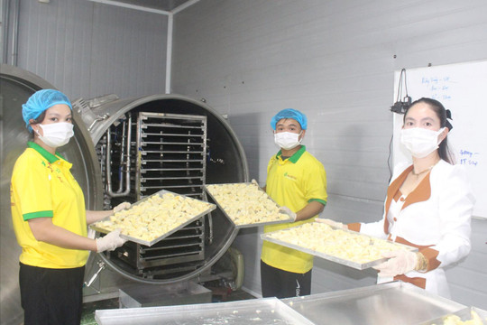 Nâng tầm nông sản Đắk Nông từ công nghệ sấy thăng hoa