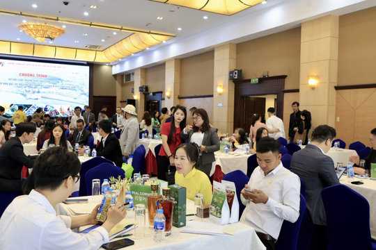 Kết nối giao thương giữa các doanh nghiệp Hàn Quốc và Việt Nam