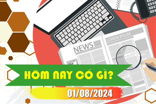 Hôm nay có gì? Ngày 1/8/2024