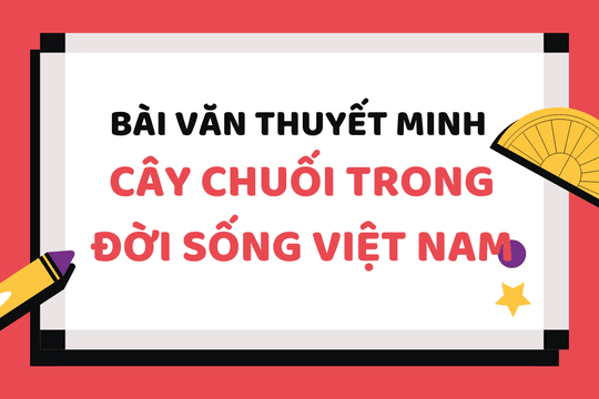 Cây chuối trong đời sống Việt Nam | Bài tập Văn 9 bộ SGK
