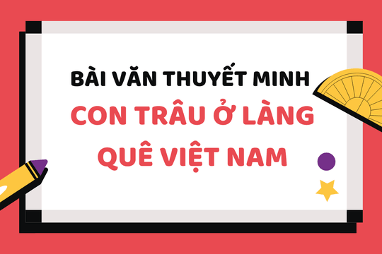 Thuyết minh về Con trâu ở làng quê Việt Nam | Bài tập văn 9 SGK