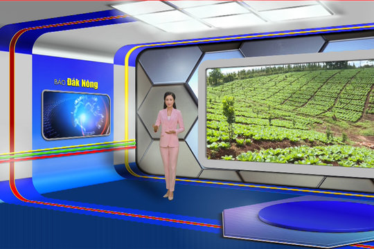 Chương trình Tin tức Đắk Nông ngày 7/8/2024