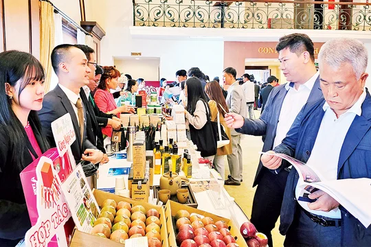Kết nối giao thương vùng Tây Nguyên với Hàn Quốc