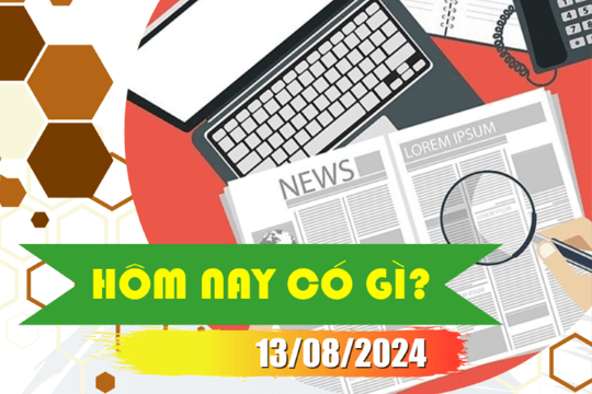 Hôm nay có gì? Ngày 13/8/2024