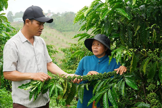 Trưởng bon K’War đi vận động giảm nghèo