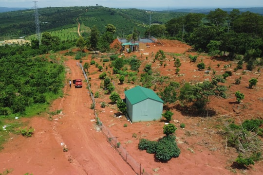 Đắk Nông xử lý vụ tranh chấp 30ha đất rừng