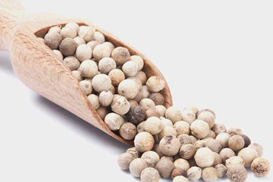 Giá tiêu hôm nay 19/8/2024: Dự báo tuần sau tiếp tục tăng