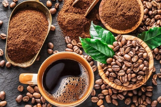Giá cà phê hôm nay 21/8: Cả trong nước và thế giới đều tăng