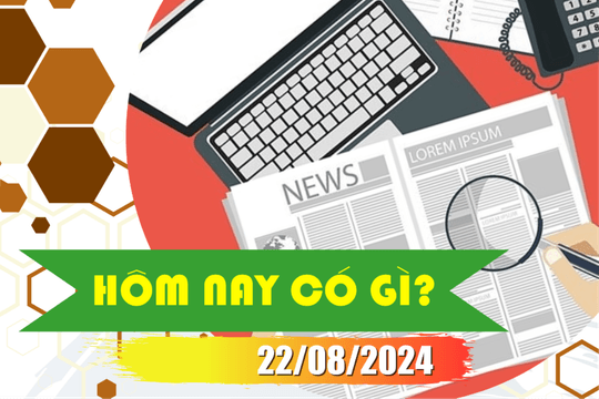 Hôm nay có gì? Ngày 22/8/2024