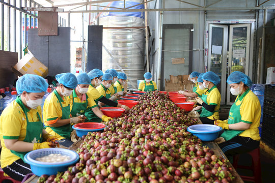 Nông sản Đắk Nông chú trọng thị phần trong nước