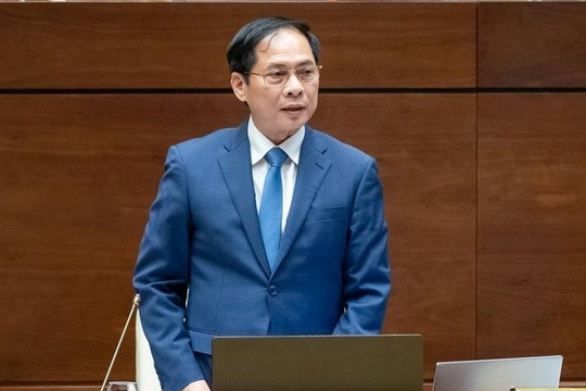 Bộ trưởng Bộ Ngoại giao Bùi Thanh Sơn giữ chức Phó Thủ tướng Chính phủ