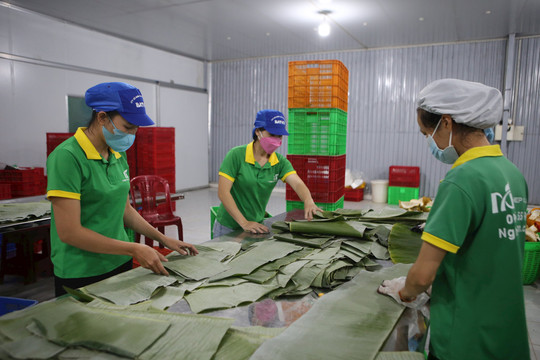 Tín hiệu lạc quan của xuất khẩu Đắk Nông