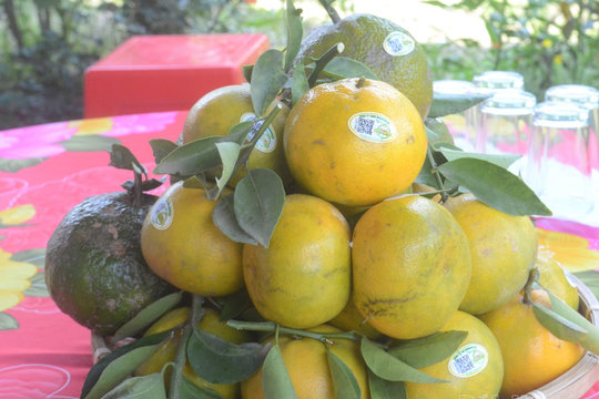 OCOP Đắk Nông chưa đa dạng