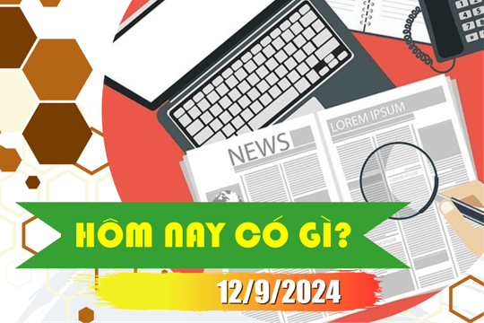 Hôm nay có gì? Ngày 12/9/2024