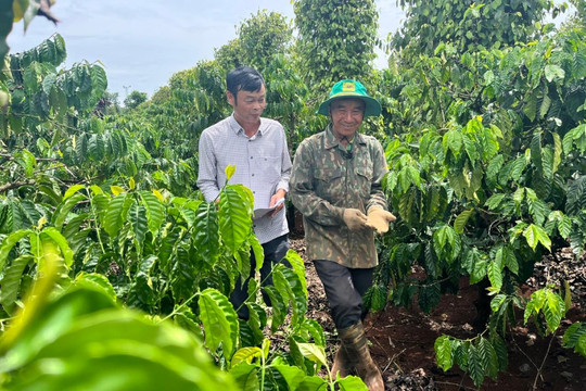 Cần thêm trợ lực cho khuyến nông cộng đồng Đắk Nông