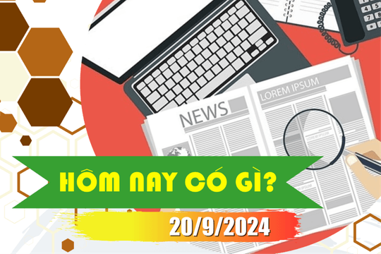 Hôm nay có gì? Ngày 20/9/2024