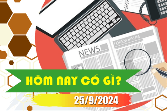 Hôm nay có gì? Ngày 25/9/2024