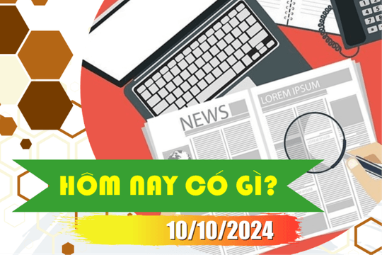 Hôm nay có gì? Ngày 10/10/2024