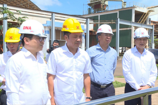 Lãnh đạo Bộ Công thương thực địa tại dự án alumin, nhôm