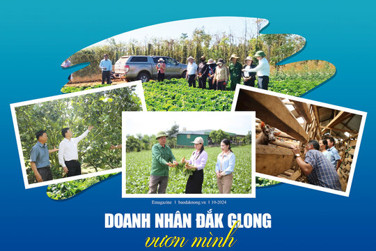 Doanh nhân Đắk Glong vươn mình