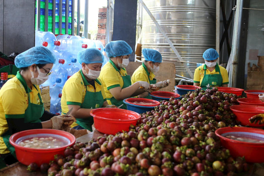 Đắk Nông khen thưởng 10 doanh nghiệp xuất sắc