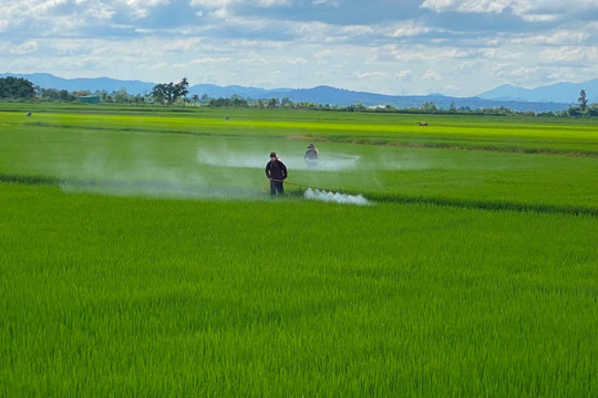 Đắk Nông tập trung nâng cao chuỗi giá trị nông sản